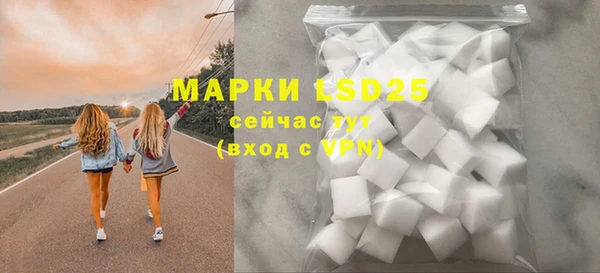 шишки Наволоки