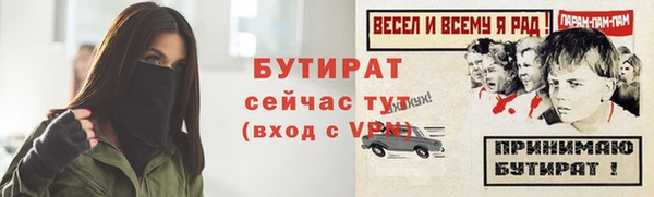 шишки Наволоки