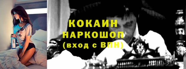 шишки Наволоки