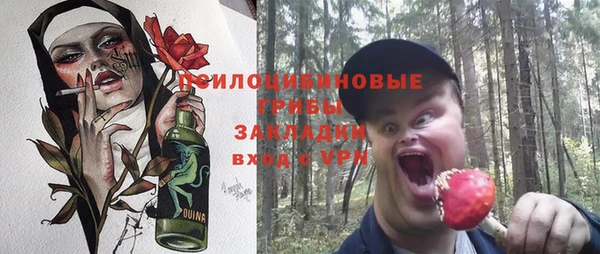 шишки Наволоки